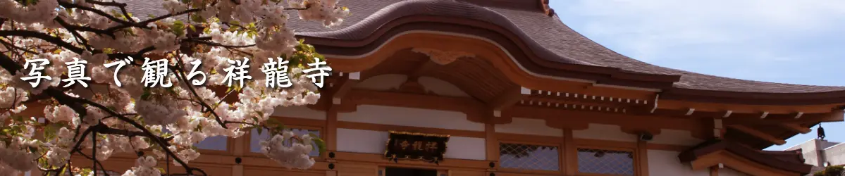 写真で観る祥龍寺